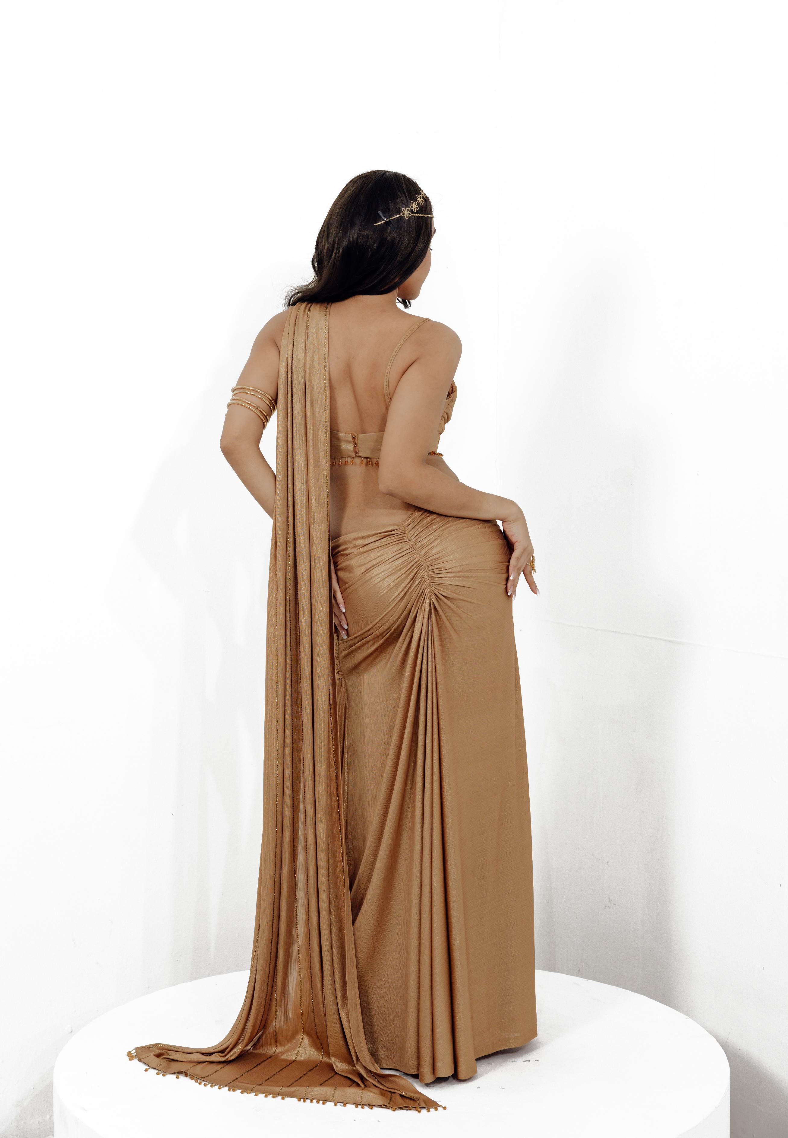 The Dhanno Saree