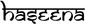 Haseena.co